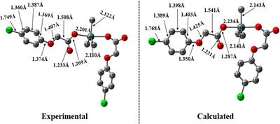 Synthesis, Characterization, Biological Activity and <mark class="highlighted">Molecular Docking Studies</mark> of Novel Organotin(IV) Carboxylates